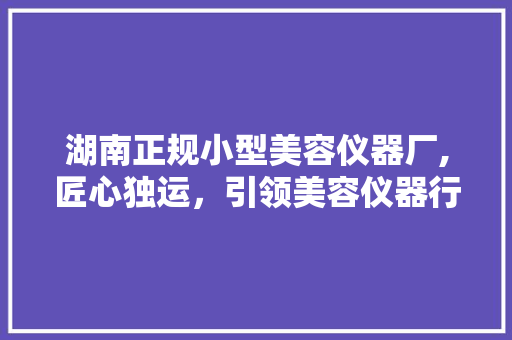 湖南正规小型美容仪器厂,匠心独运，引领美容仪器行业新潮流