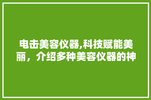 电击美容仪器,科技赋能美丽，介绍多种美容仪器的神奇力量 美体修身