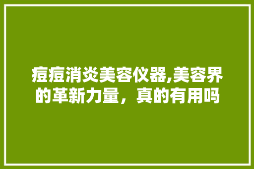 痘痘消炎美容仪器,美容界的革新力量，真的有用吗 母婴育儿