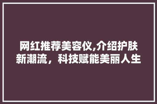 网红推荐美容仪,介绍护肤新潮流，科技赋能美丽人生