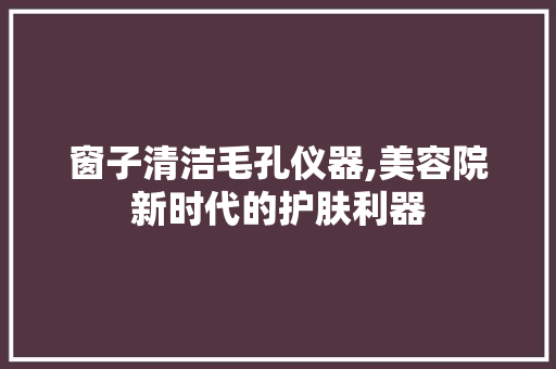 窗子清洁毛孔仪器,美容院新时代的护肤利器 饮食大全
