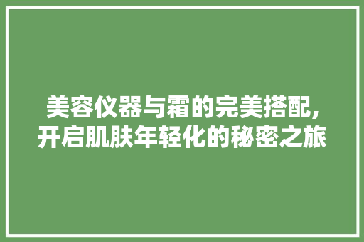 美容仪器与霜的完美搭配,开启肌肤年轻化的秘密之旅