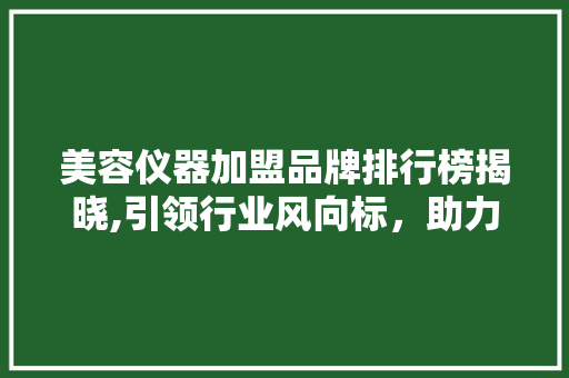 美容仪器加盟品牌排行榜揭晓,引领行业风向标，助力创业者迈向成功