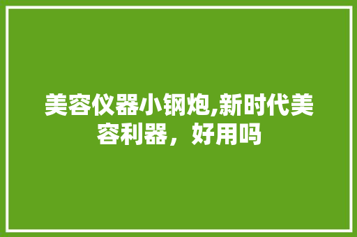 美容仪器小钢炮,新时代美容利器，好用吗