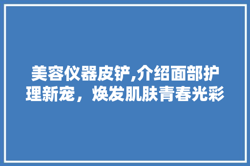 美容仪器皮铲,介绍面部护理新宠，焕发肌肤青春光彩