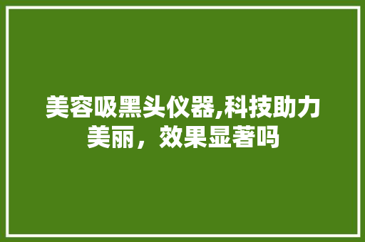 美容吸黑头仪器,科技助力美丽，效果显著吗