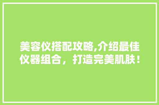 美容仪搭配攻略,介绍最佳仪器组合，打造完美肌肤！