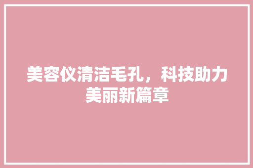 美容仪清洁毛孔，科技助力美丽新篇章