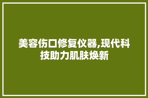 美容伤口修复仪器,现代科技助力肌肤焕新