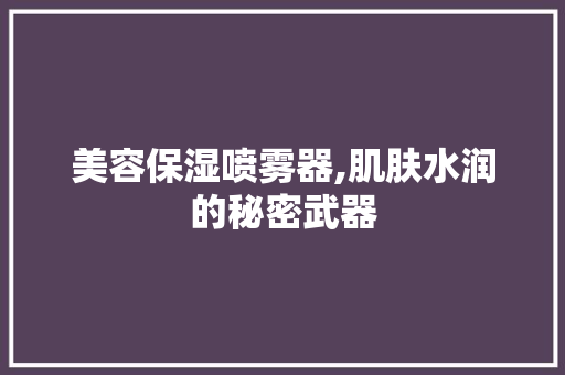 美容保湿喷雾器,肌肤水润的秘密武器
