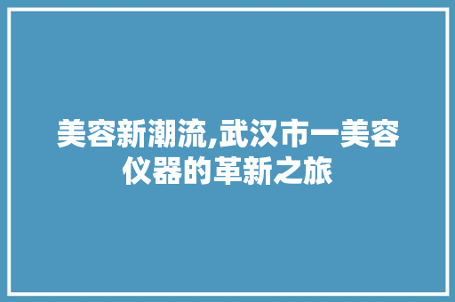 美容新潮流,武汉市一美容仪器的革新之旅 母婴育儿
