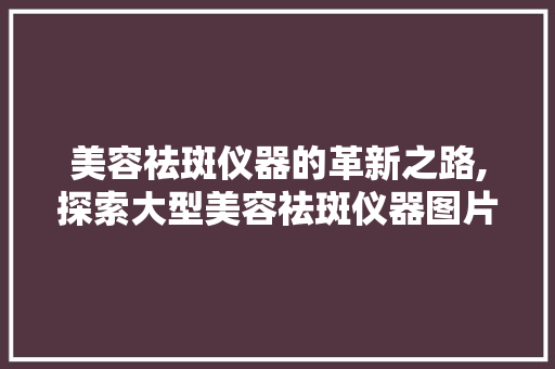 美容祛斑仪器的革新之路,探索大型美容祛斑仪器图片大全背后的科技力量