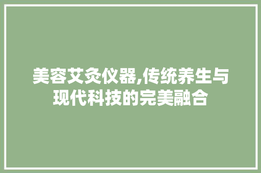 美容艾灸仪器,传统养生与现代科技的完美融合 综合便民