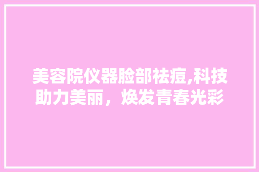 美容院仪器脸部祛痘,科技助力美丽，焕发青春光彩