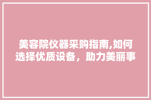 美容院仪器采购指南,如何选择优质设备，助力美丽事业腾飞