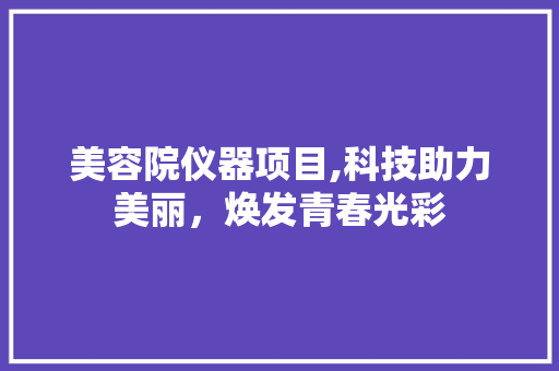 美容院仪器项目,科技助力美丽，焕发青春光彩