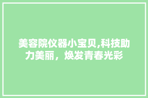 美容院仪器小宝贝,科技助力美丽，焕发青春光彩 美体修身