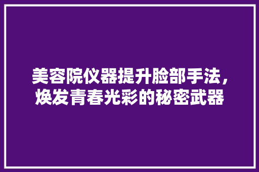 美容院仪器提升脸部手法，焕发青春光彩的秘密武器