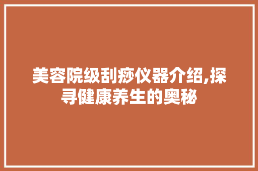 美容院级刮痧仪器介绍,探寻健康养生的奥秘