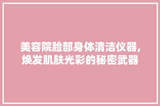 美容院脸部身体清洁仪器,焕发肌肤光彩的秘密武器 饮食大全