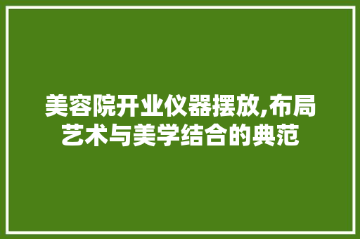 美容院开业仪器摆放,布局艺术与美学结合的典范 饮食大全