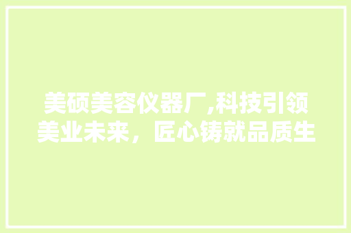 美硕美容仪器厂,科技引领美业未来，匠心铸就品质生活 母婴育儿