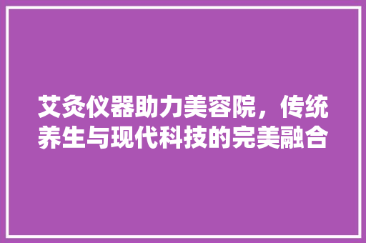 艾灸仪器助力美容院，传统养生与现代科技的完美融合 饮食大全