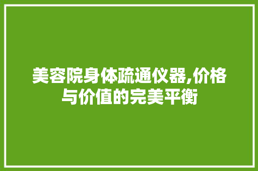 美容院身体疏通仪器,价格与价值的完美平衡 母婴育儿