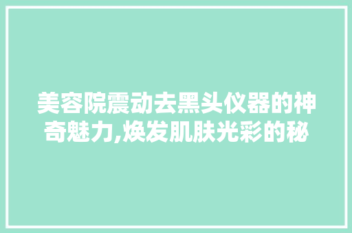 美容院震动去黑头仪器的神奇魅力,焕发肌肤光彩的秘密武器 饮食大全