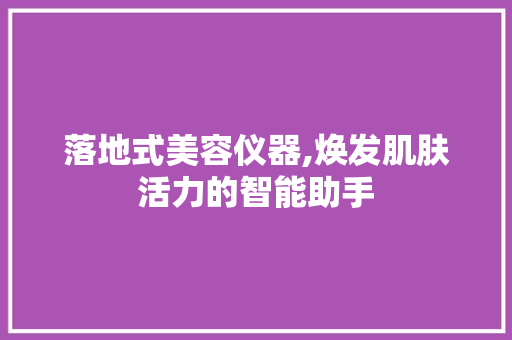 落地式美容仪器,焕发肌肤活力的智能助手