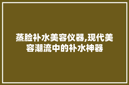 蒸脸补水美容仪器,现代美容潮流中的补水神器