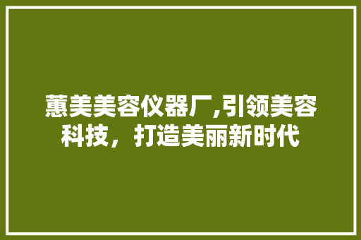 蕙美美容仪器厂,引领美容科技，打造美丽新时代