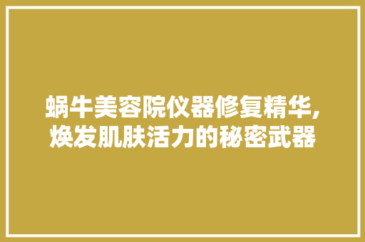 蜗牛美容院仪器修复精华,焕发肌肤活力的秘密武器