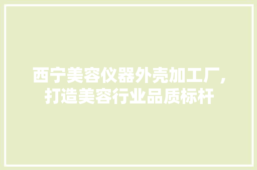 西宁美容仪器外壳加工厂,打造美容行业品质标杆 美体修身