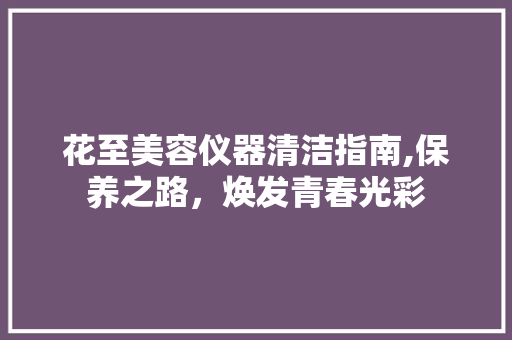 花至美容仪器清洁指南,保养之路，焕发青春光彩 饮食大全