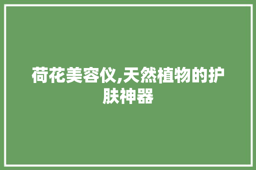 荷花美容仪,天然植物的护肤神器