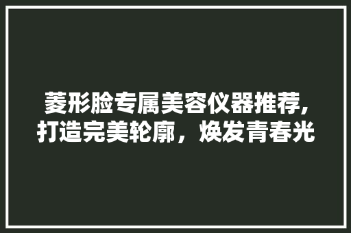 菱形脸专属美容仪器推荐,打造完美轮廓，焕发青春光彩