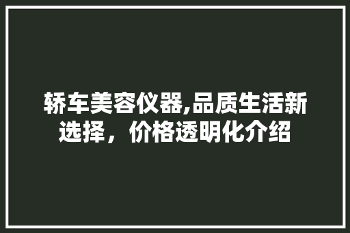 轿车美容仪器,品质生活新选择，价格透明化介绍