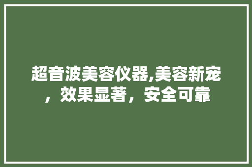 超音波美容仪器,美容新宠，效果显著，安全可靠