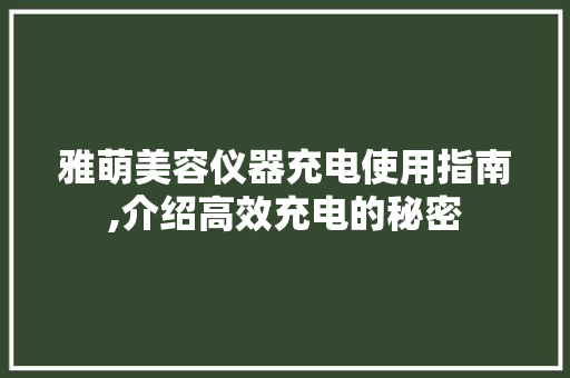 雅萌美容仪器充电使用指南,介绍高效充电的秘密