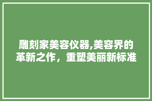 雕刻家美容仪器,美容界的革新之作，重塑美丽新标准