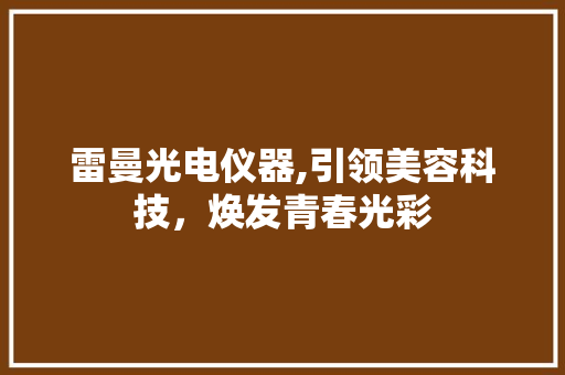 雷曼光电仪器,引领美容科技，焕发青春光彩
