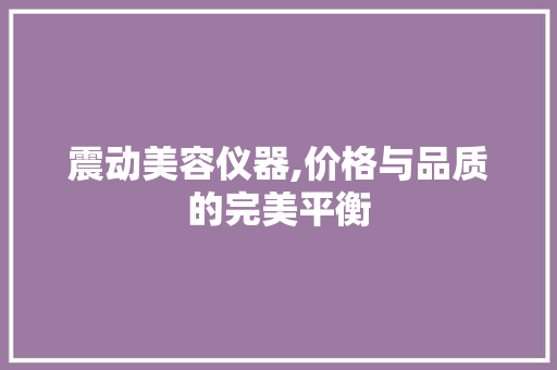 震动美容仪器,价格与品质的完美平衡