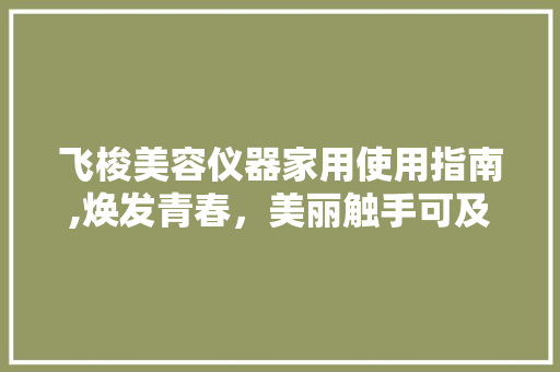 飞梭美容仪器家用使用指南,焕发青春，美丽触手可及