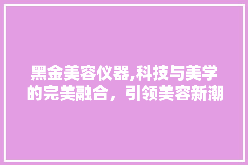 黑金美容仪器,科技与美学的完美融合，引领美容新潮流 母婴育儿