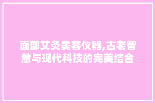 面部艾灸美容仪器,古老智慧与现代科技的完美结合
