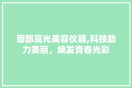 面部高光美容仪器,科技助力美丽，焕发青春光彩