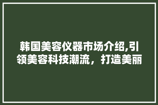 韩国美容仪器市场介绍,引领美容科技潮流，打造美丽新生活