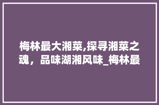 梅林最大湘菜,探寻湘菜之魂，品味湖湘风味_梅林最大湘菜