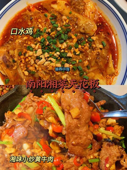 南阳新派湘菜,中达路上的美食传奇_南阳新派湘菜 中达路 饮食大全 南阳新派湘菜,中达路上的美食传奇_南阳新派湘菜 中达路 南阳新派湘菜,中达路上的美食传奇_南阳新派湘菜 中达路 饮食大全